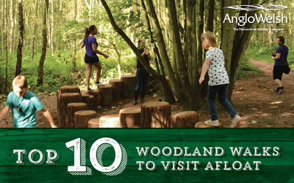 Top 10 Woodland Walks to Visit Afloat