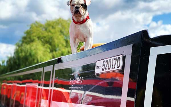Best pet friendly canal boat holidays