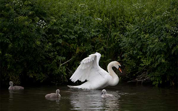 Top 10 Spring canal boat holiday destinations for 2020