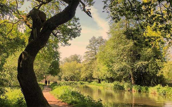 Canalside activities on a canal boat holiday