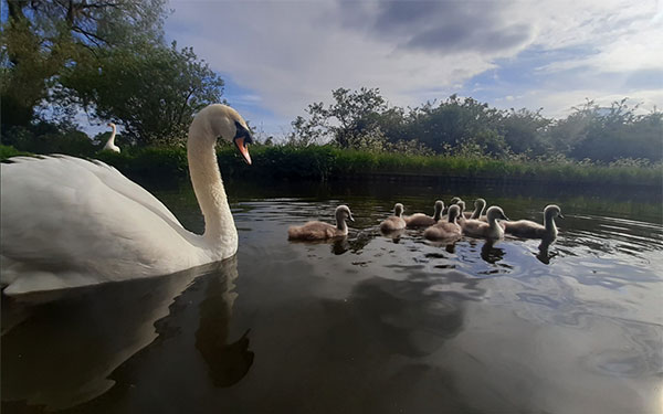 Welcome back to the waterways!