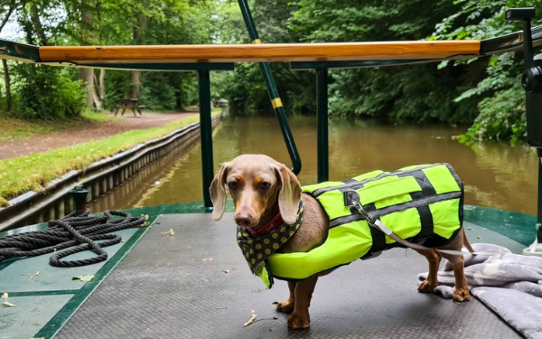Celebrate National Pet Month with a Canal Boat Holiday