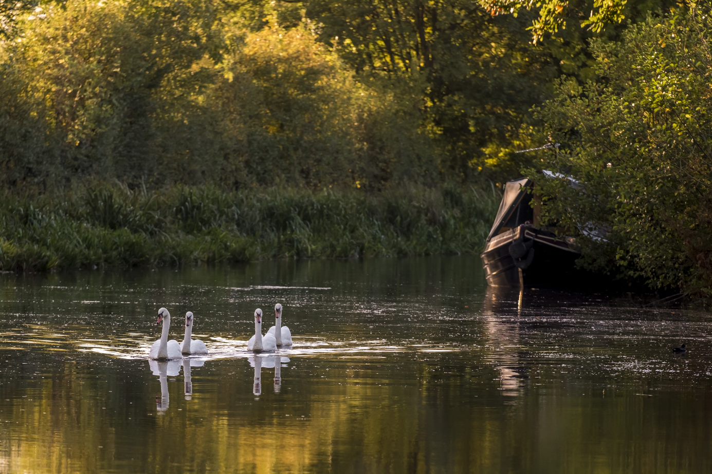 Top 6 week-long canal boat cruises through the countryside this Autumn