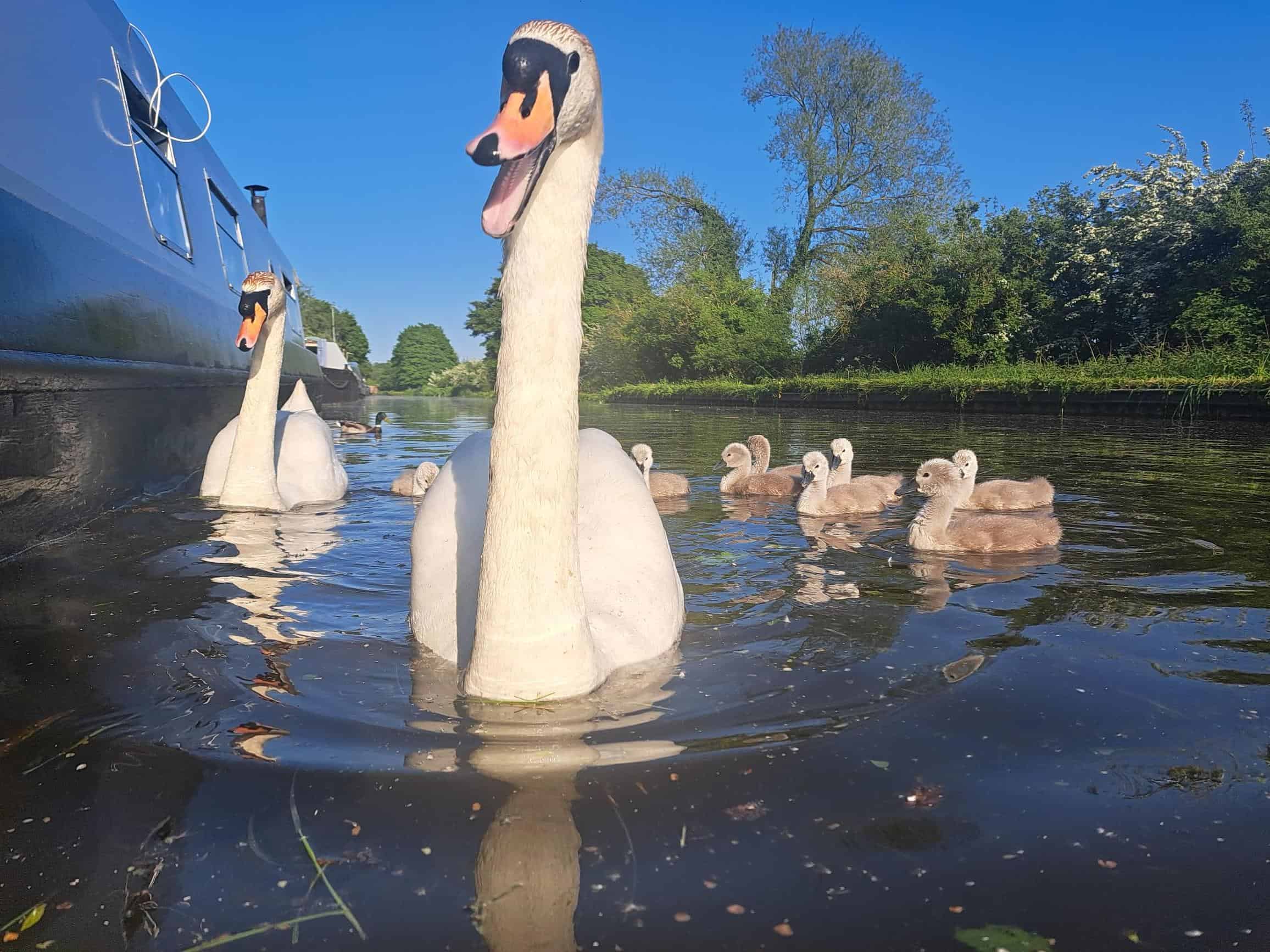 Best spring canal boat holiday breaks in 2024